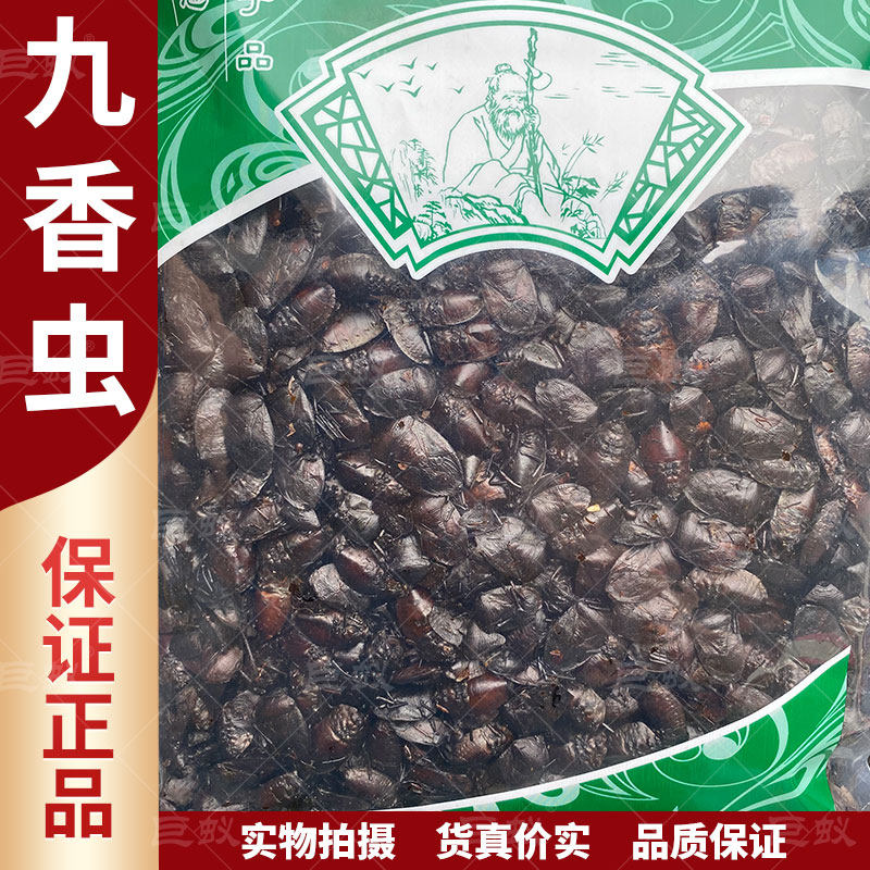 九香虫中药材500g克新货正品打屁虫屁巴虫臭大姐臭壳子臭屁虫干货