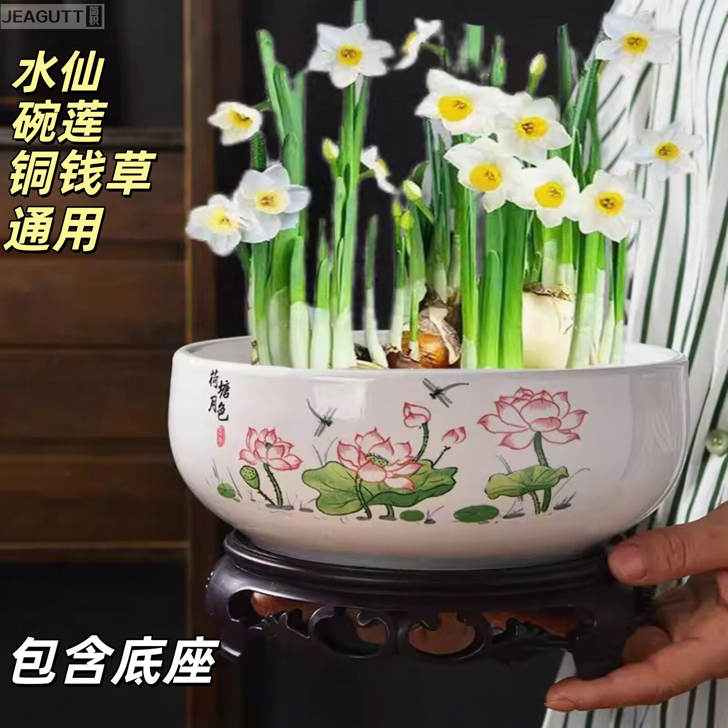 陶瓷无孔水培花盆碗莲铜钱草