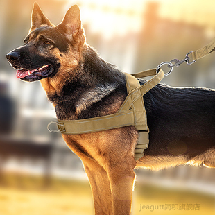 狗狗牵引绳大型犬中大型胸背带背心式 项圈马犬金毛德牧脖圈遛狗绳