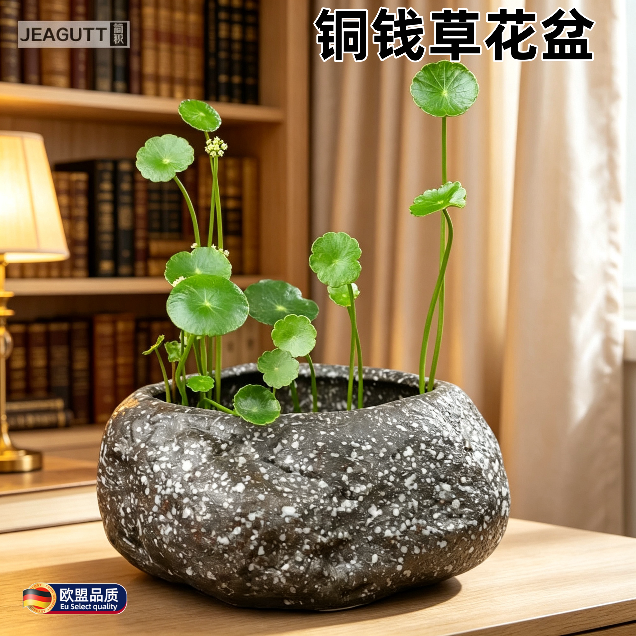高档陶瓷无孔水培花盆桌面造景