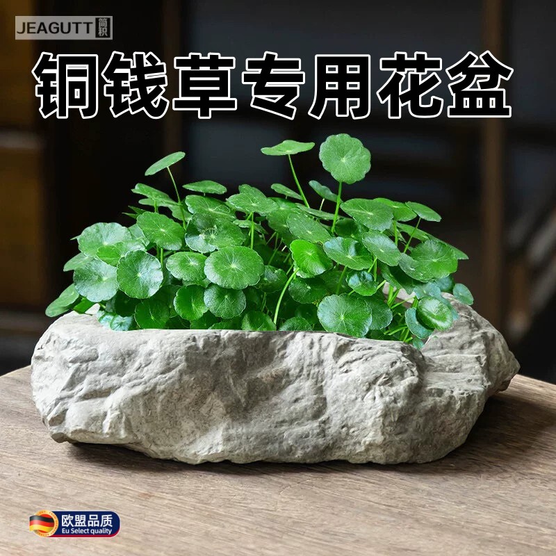 仿石陶瓷无孔水培铜钱草花盆