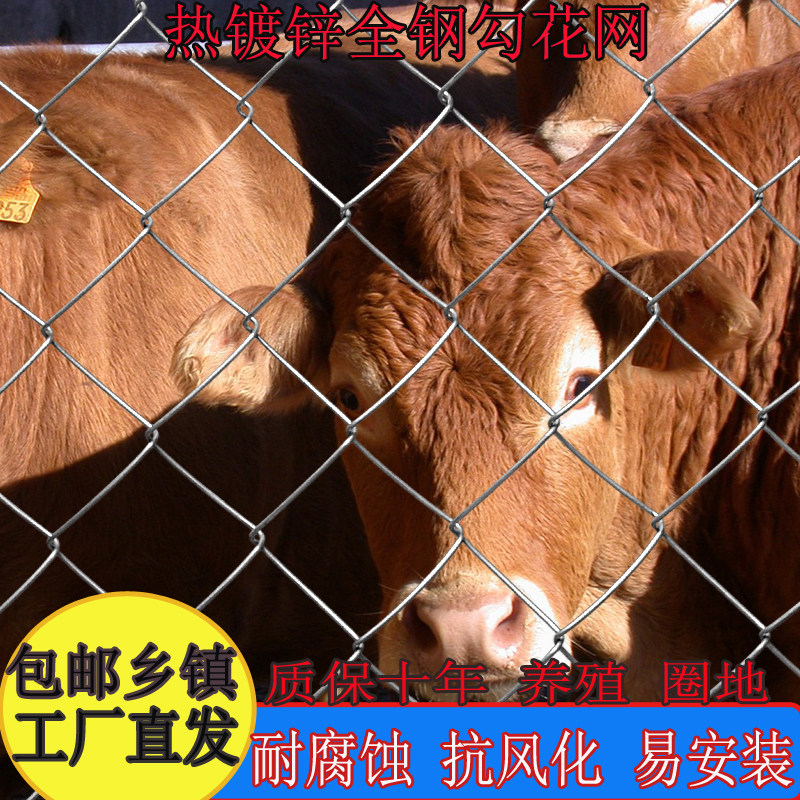 镀锌铁丝网勾花网围栏圈牛羊防护养殖钢丝网养鸡狗果园隔离护栏网