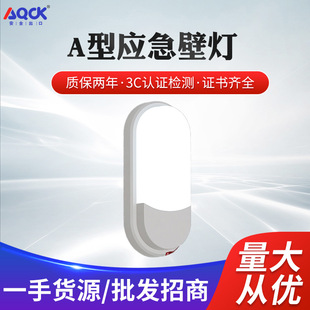 A型智能36V集中电源集中控制消防应急照明灯具应急灯led壁灯