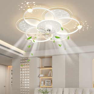 风扇吸顶灯2025新款 简约现代星空客厅灯广东中山轻奢吊扇灯具套餐