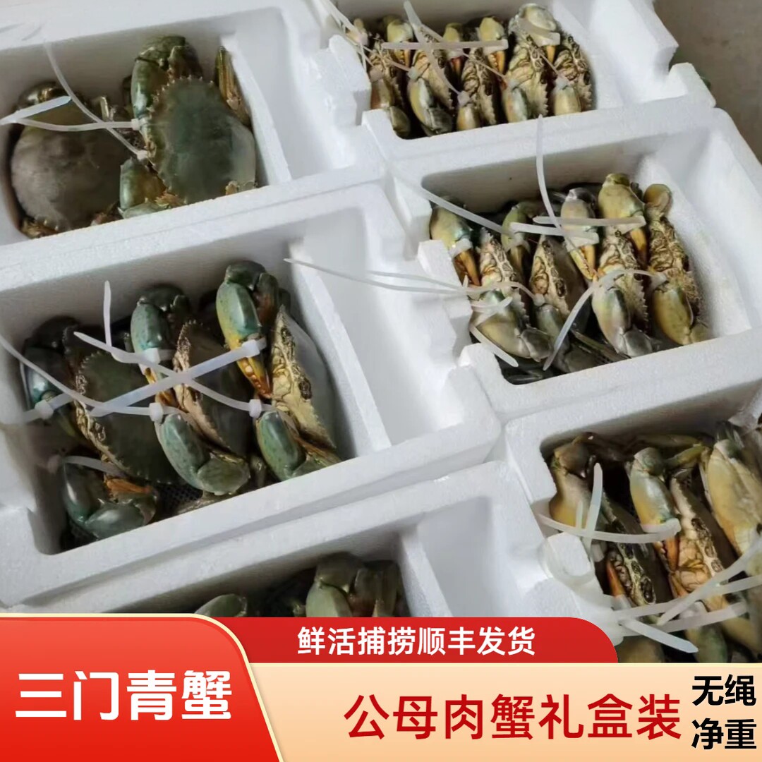 鲜活三门青蟹公母肉蟹膏蟹大螃蟹图片
