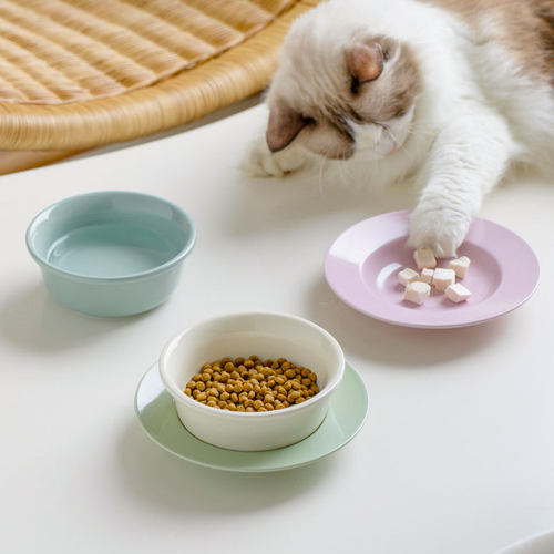 陶瓷高低脚防翻猫碗猫咪猫粮零食冻干罐头防颈椎宠物餐盘狗食双碗