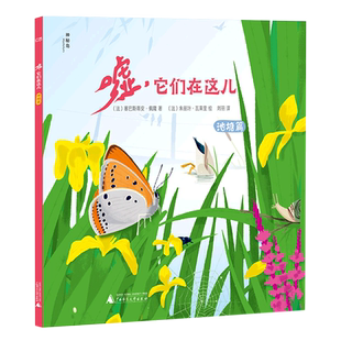 嘘 它们在这儿.池塘篇