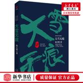 中国文学 陆天明 中国文学小说 天津人民 图书籍 新华正版 北京新华先锋科技 大雪无痕陆天明当代品精选