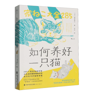 如何养好一只猫