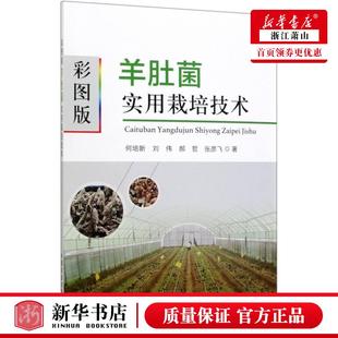 新华正版 彩图版羊肚菌实用栽培技术 何培新刘伟郝哲张彦飞李 农业科学 园艺 中国农业  图书籍