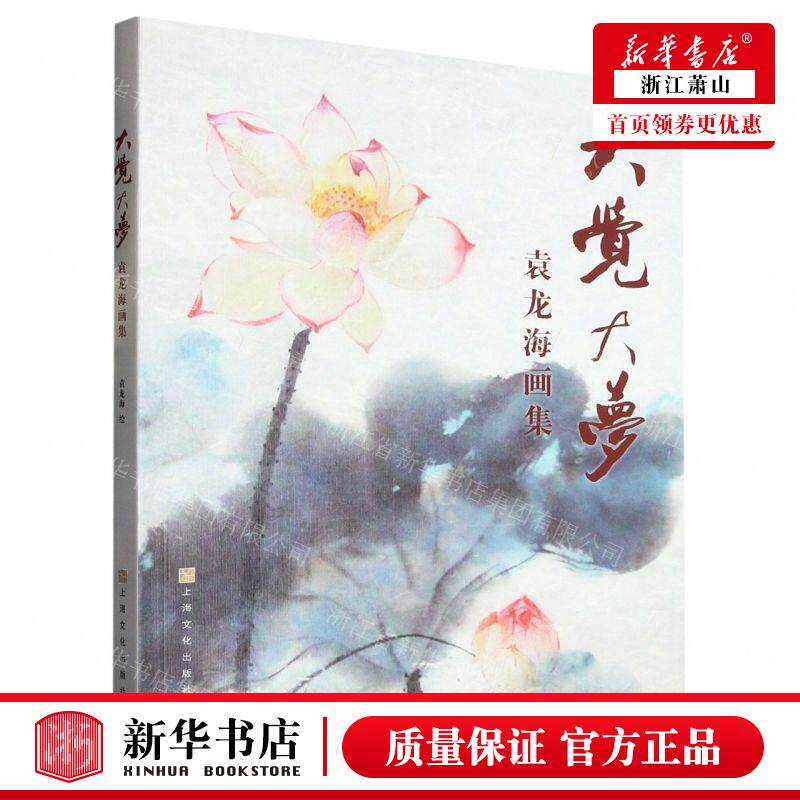 新华正版 大觉大梦袁龙海画集 责编:赵光敏 上海文化出版社 上海