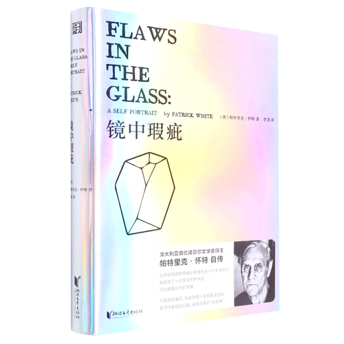 镜中瑕疵