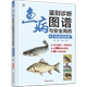 鱼病鉴别诊断图谱与安全用药 铂金视频版