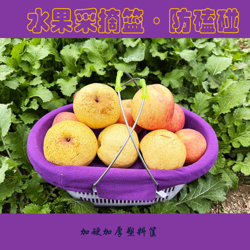 布套款草莓采摘篮谷丰农具