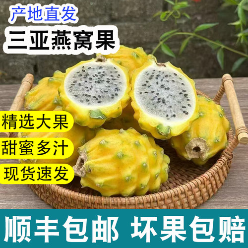 【4斤礼盒】【海南发货】新鲜海南燕窝果麒麟果热带水果顺丰包邮