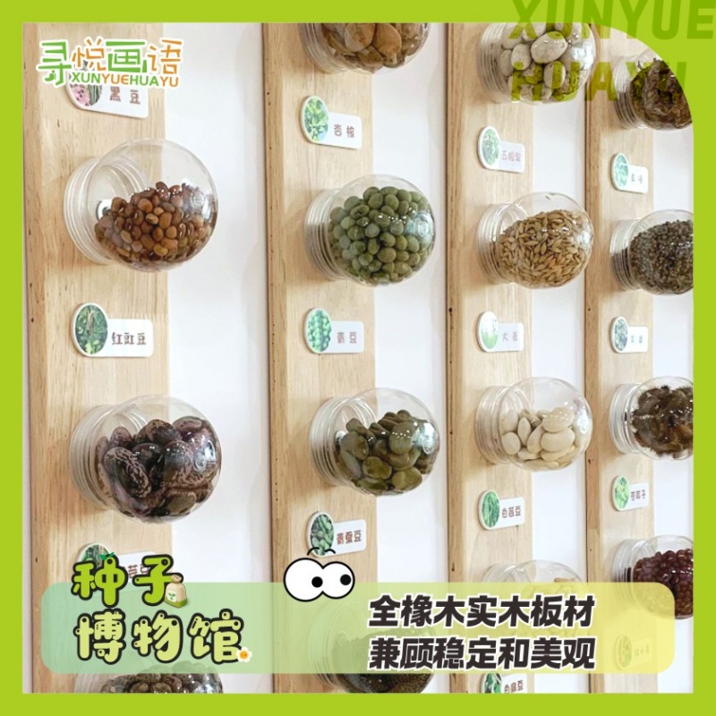 環創裝飾自然生態展示種子博物館