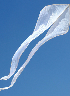 Ghost kite  幽灵风筝    6.5m 多色可选