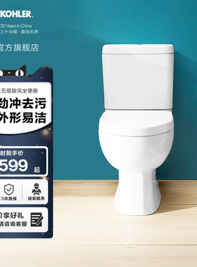 科勒马桶瑞琦分体家用卫生间五级旋风抽水马桶坐便器3991T-S2-0
