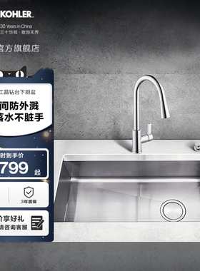 科勒艾歌厨房水槽大单槽家用不锈钢洗菜盆大小槽水池3673