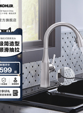 科勒卢比克下抽拉式厨房龙头水槽洗菜盆水龙头-20147T-4-CP