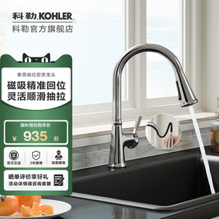 科勒泰恩下抽拉洗菜盆洗碗盆家用厨房龙头旋转冷热21415