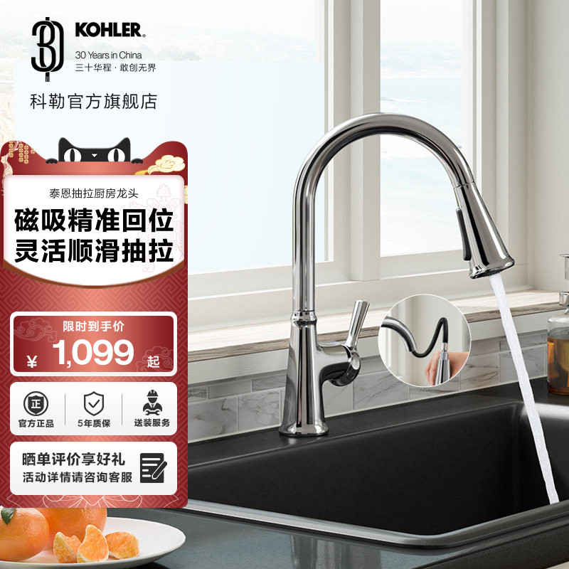 科勒泰恩下抽拉洗菜盆洗碗盆家用厨房龙头旋转冷热21415