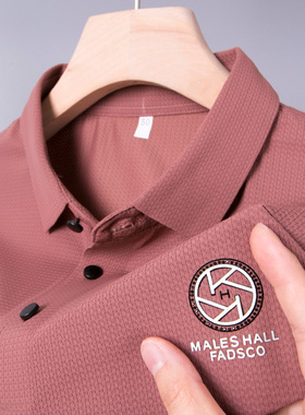 男士polo衫短袖T恤中年爸爸夏装冰丝plol上衣服poli衬衫领popo土