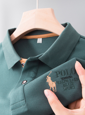 保罗polo衫长袖t恤春秋季中年男士刺绣plol爸爸装内搭秋衣上衣土
