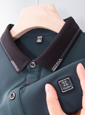 轻奢男士长袖t恤polo衫春秋季上衣中年爸爸装衬衫领衬衣内搭plol