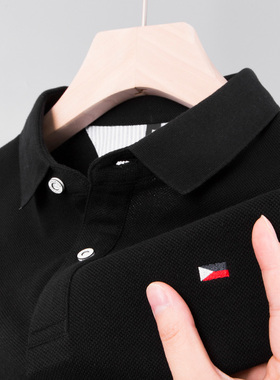 男士bolo短袖T恤popo爸爸tbpolo夏装polo衫poll上衣poor婆罗poko