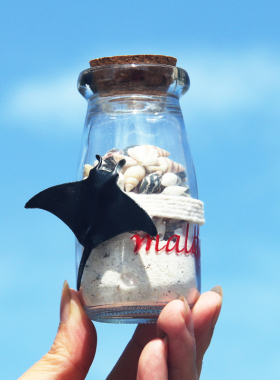 热卖马尔代夫旅游纪念品创意沙瓶漂流瓶热带鱼多款伴手礼装饰品