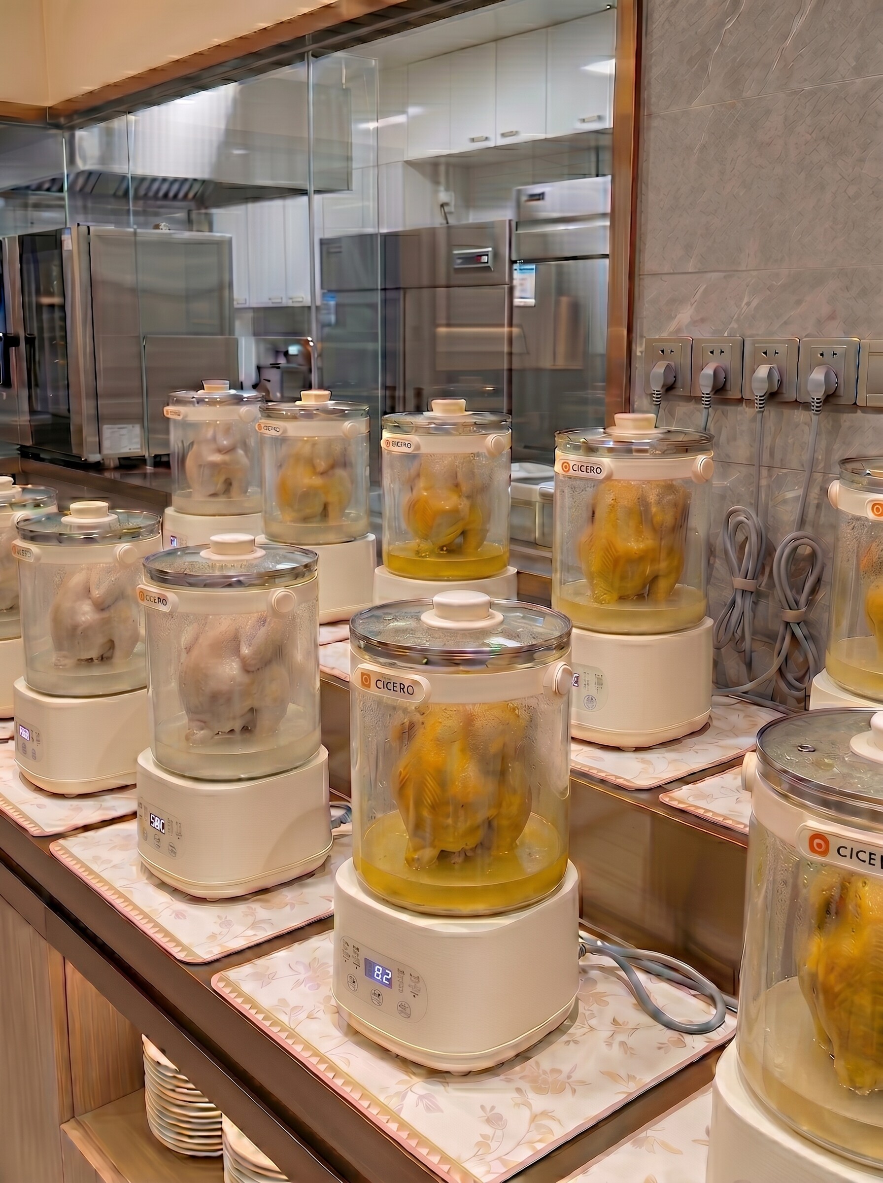蒸鲜养生桶蒸鸡壶多功能6L养生花茶壶炖汤烧水分体式网红蒸鸡商用