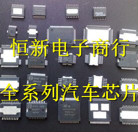 E113.07A SSOP36  全系列汽车电脑板音频芯片 进口现货  可直拍