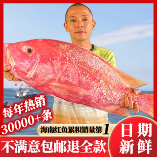 儋州大紅魚(yú)干海南特產(chǎn)海鮮干貨整條深海淡口咸魚(yú)非湛江廣西北海詹