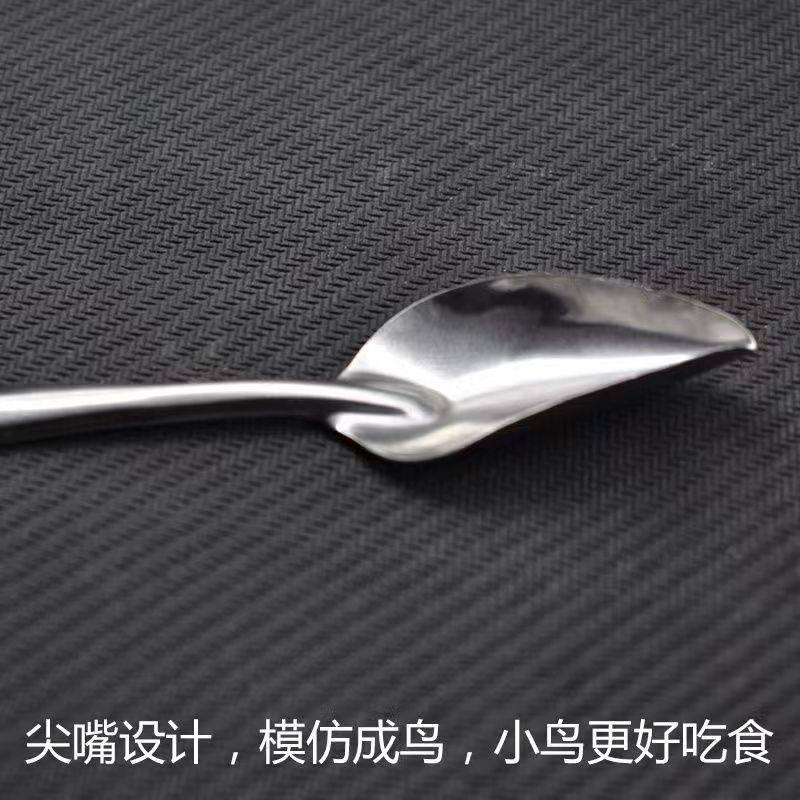 虎皮牡丹玄风鹦鹉雏鸟专用喂奶勺 药勺 奶粉喂食器 手养鹦鹉勺,宠物/宠物食品及用品,鸟禽喂食器/喂水器,淘宝优惠券,粉丝福利购,淘宝优惠卷