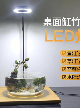 LED植物补光灯小鱼缸微景观实木灯桌面鱼缸灯多肉植物灯水草灯
