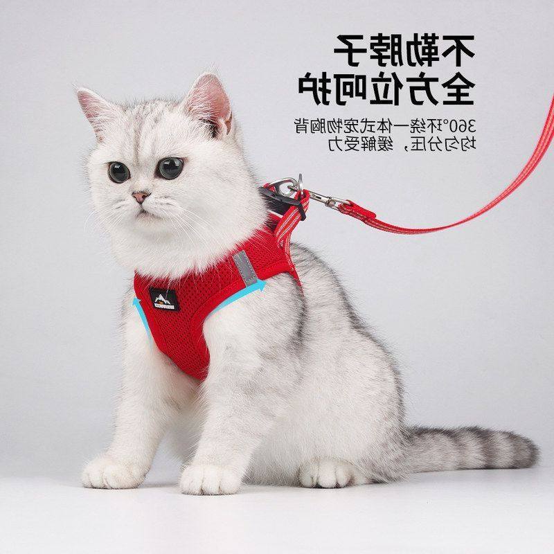 跨境亚马逊猫咪牵引绳猫狗胸背带