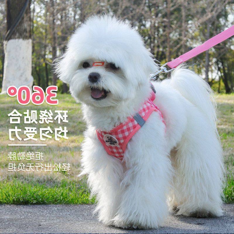 新款猫咪胸背带清新格子猫咪防