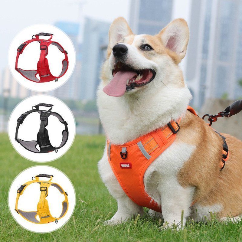 宠物牵引绳背心式小狗胸背带防爆