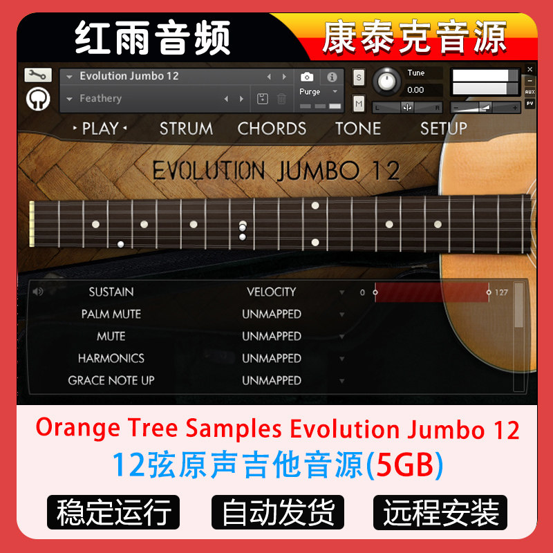 12弦原声吉他音源-Orange Tree Samples Evolution Jumbo 12
