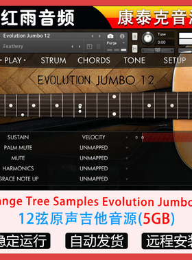 12弦原声吉他音源-Orange Tree Samples Evolution Jumbo 12