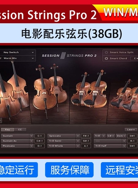 影视配乐弦乐录音室增强版 Session Strings Pro 2 康泰克音源