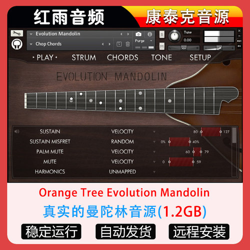 真实的曼陀林音源 Orange Tree Samples Evolution Mandolin