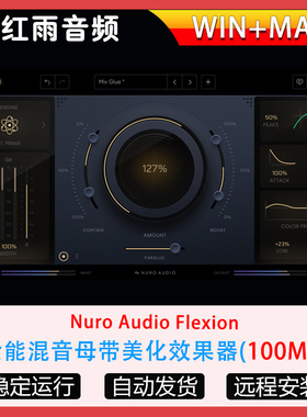 Nuro Audio Flexion全能混音母带美化效果器 饱和染色 音色塑造