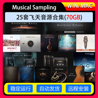 25套Musical Sampling全套合集飞天弦乐铜管吉他鼓音源康泰克音源