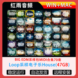 BIG EDM采样包MIDI合集70套Loop采样合成器DJ舞曲电子乐House