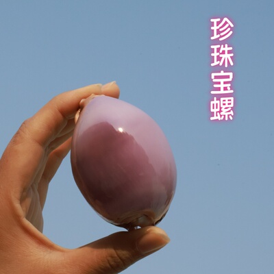海贝缘珍珠宝螺天然海螺贝壳
