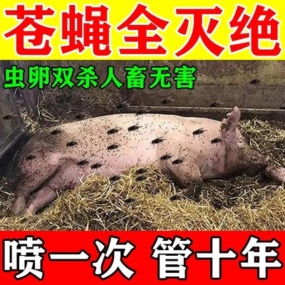 苍蝇消灭神器猪圈养殖场