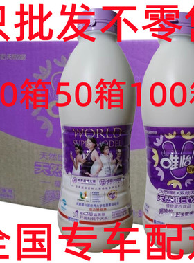 100箱全国餐饮配送整箱12瓶大唯怡豆奶960ml植物蛋白坚果花生核桃