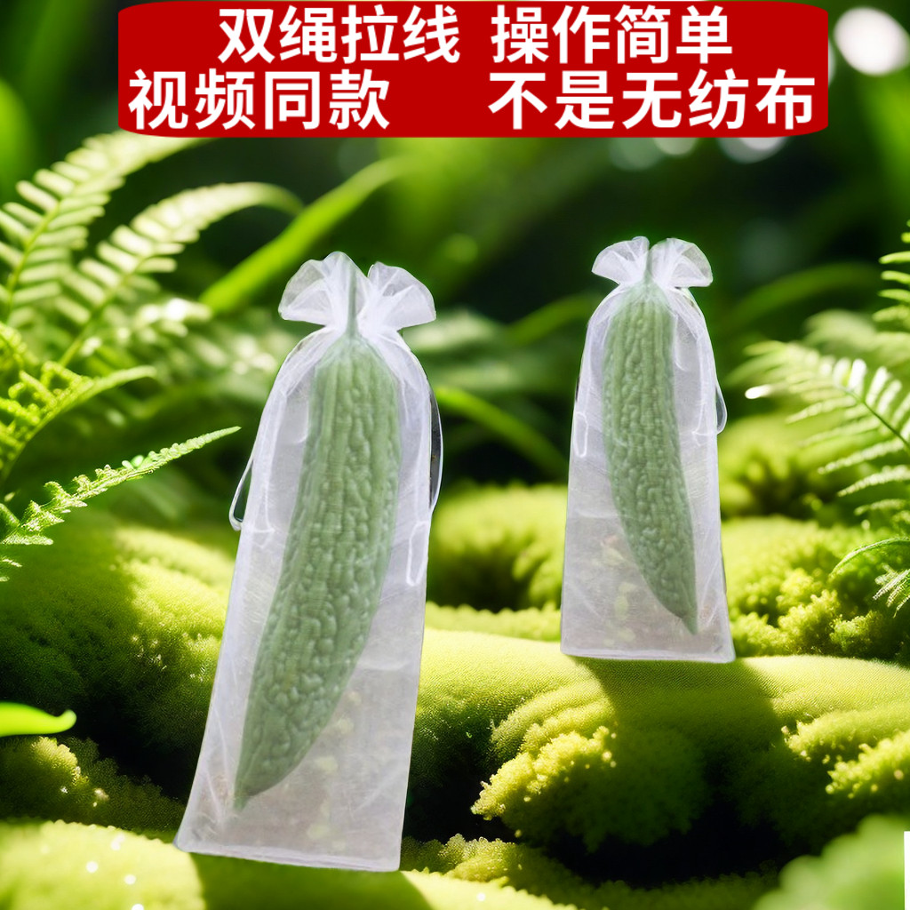 丝瓜专用纱网套袋防虫防鸟苦瓜黄瓜青瓜果防虫袋透气保护袋套瓜袋